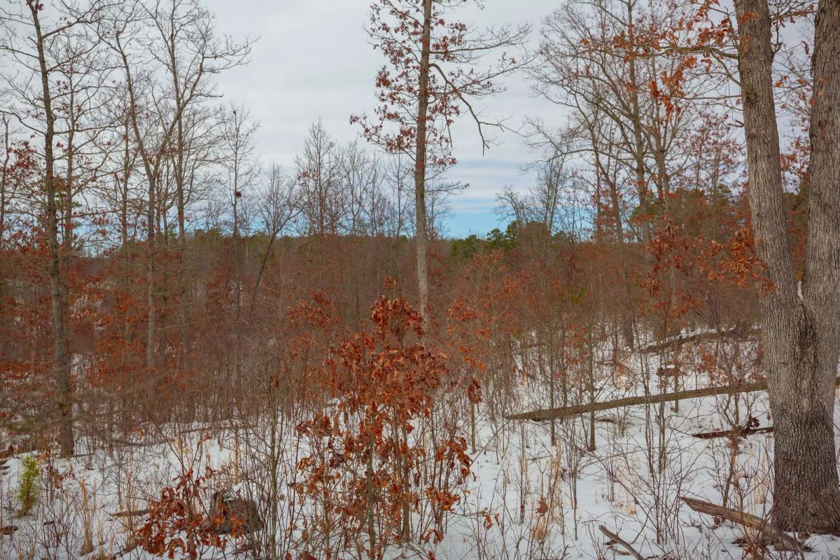 Sleepy Hollow Phase I Tract 15 - Main image