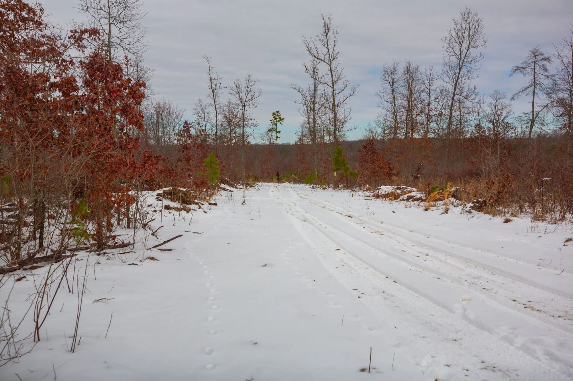Sleepy Hollow Phase I Tract 15 in Texas County, MO