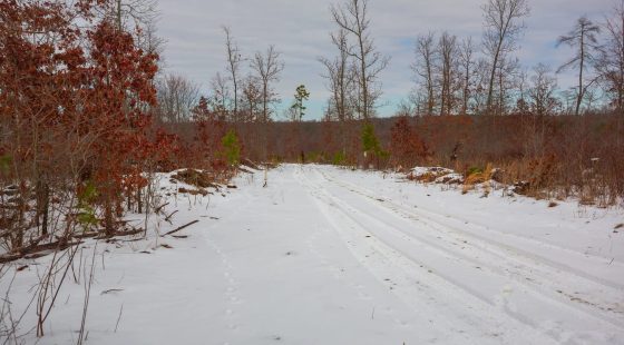 Sleepy Hollow Phase I Tract 15 in Texas County, MO