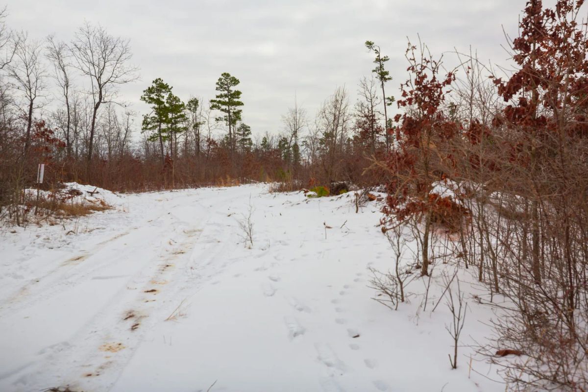 Decorative background for Sleepy Hollow Phase I Tract 15 image 10