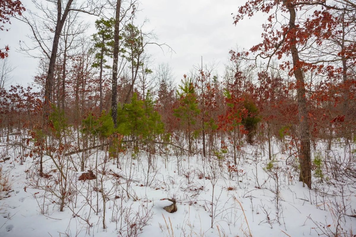 Decorative background for Sleepy Hollow Phase I Tract 15 image 17