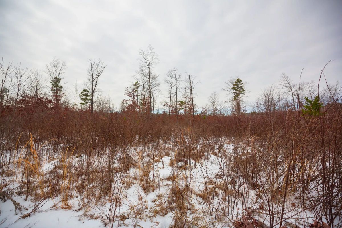 Decorative background for Sleepy Hollow Phase I Tract 15 image 18