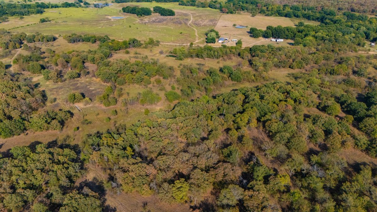 Decorative background for Gracyn Meadows Tract 19 image 5