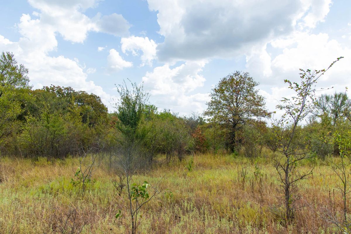 Decorative background for Gracyn Meadows Tract 19 image 6