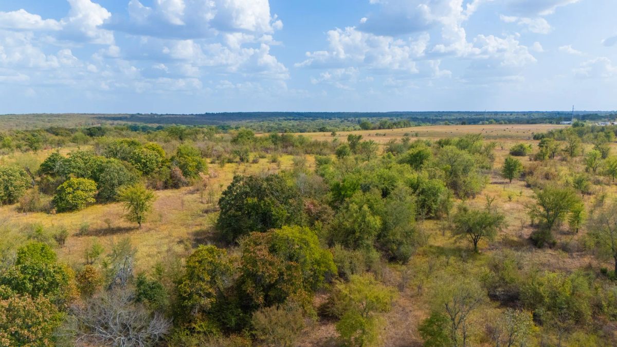 Decorative background for Gracyn Meadows Tract 19 image 8
