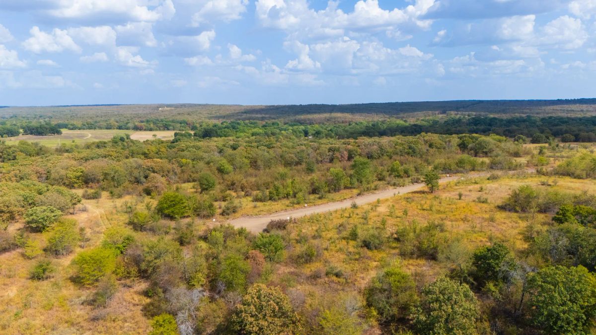 Decorative background for Gracyn Meadows Tract 19 image 9