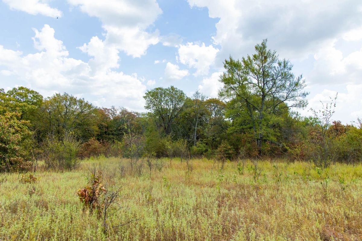 Decorative background for Gracyn Meadows Tract 19 image 10