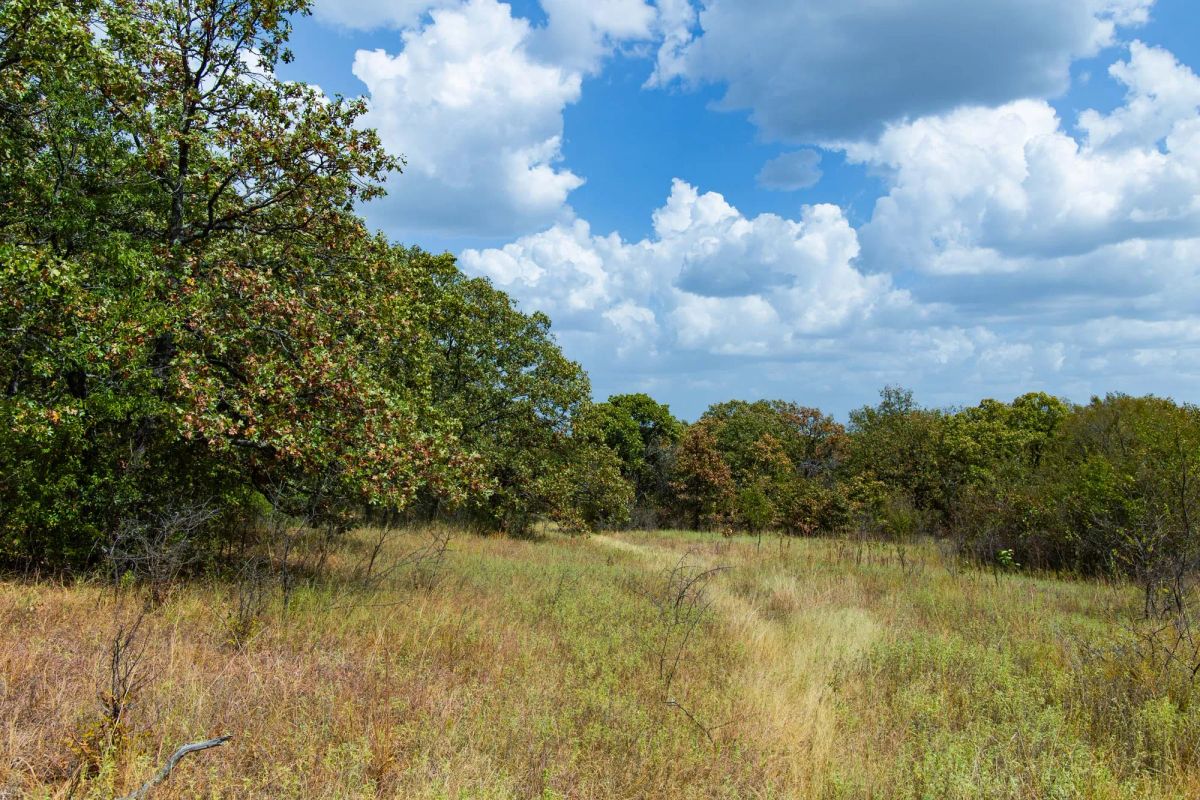 Decorative background for Gracyn Meadows Tract 19 image 11
