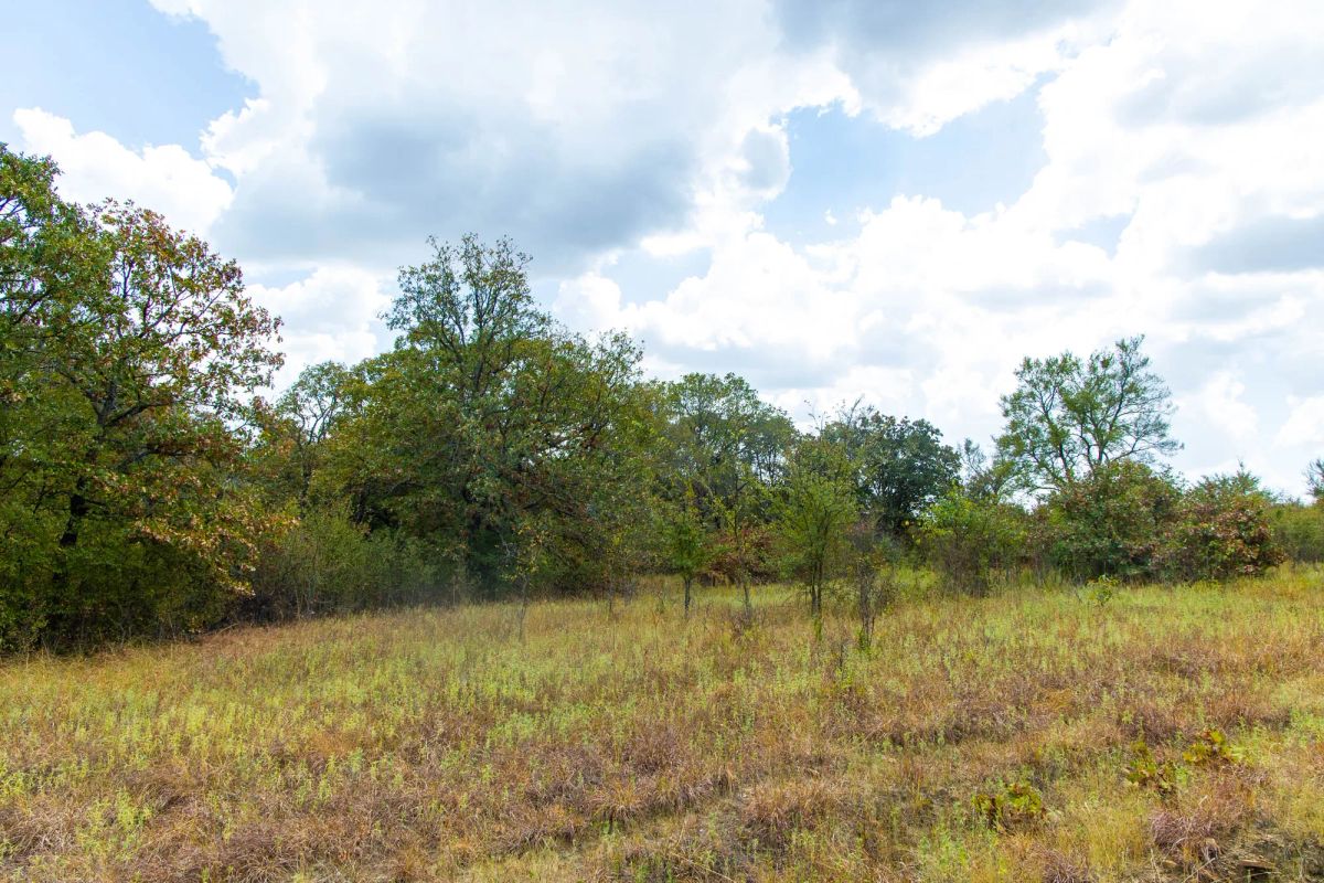 Decorative background for Gracyn Meadows Tract 19 image 14