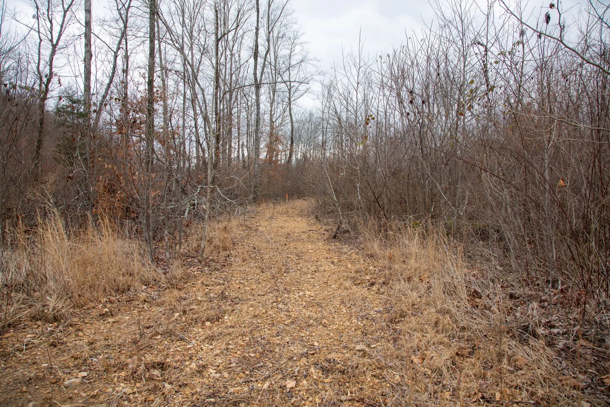 Southwind Ranch Tract 9 in Perry County, TN