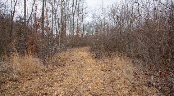 Southwind Ranch Tract 9 in Perry County, TN