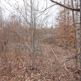 Southwind Ranch Tract 9 in Perry County, TN