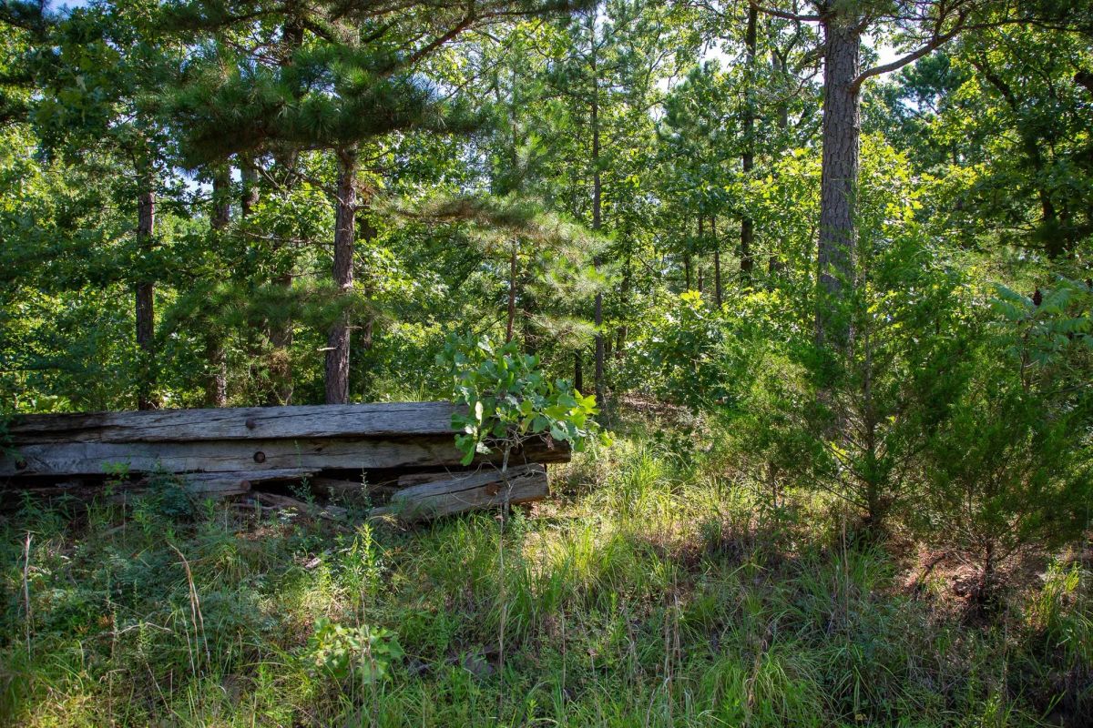 Tyler Stone Ranch Tract 43 - Main image