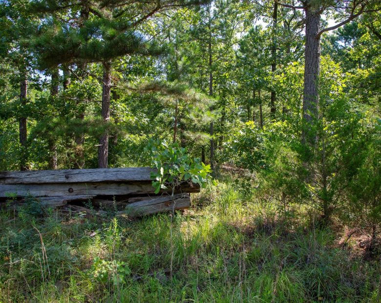 Tyler Stone Ranch Tract 43 in Le Flore County, OK