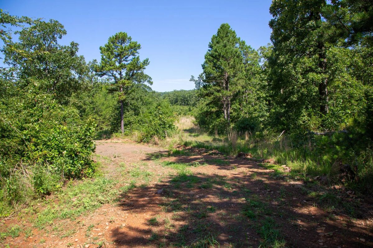 Tyler Stone Ranch Tract 43 - Image 3