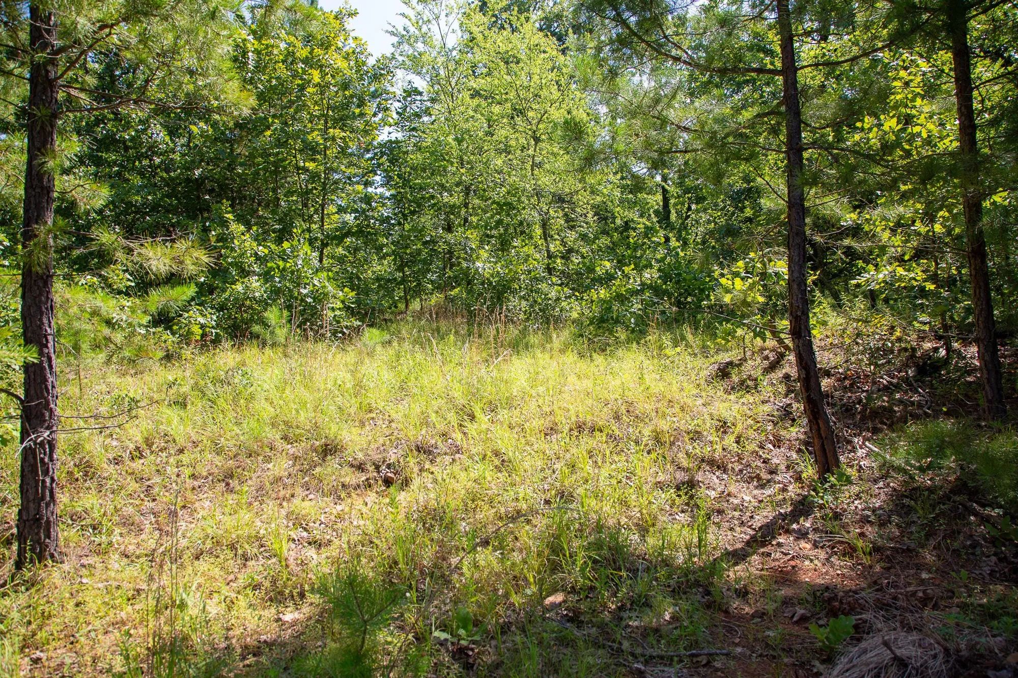 Tyler Stone Ranch Tract 43 in Le Flore County, OK