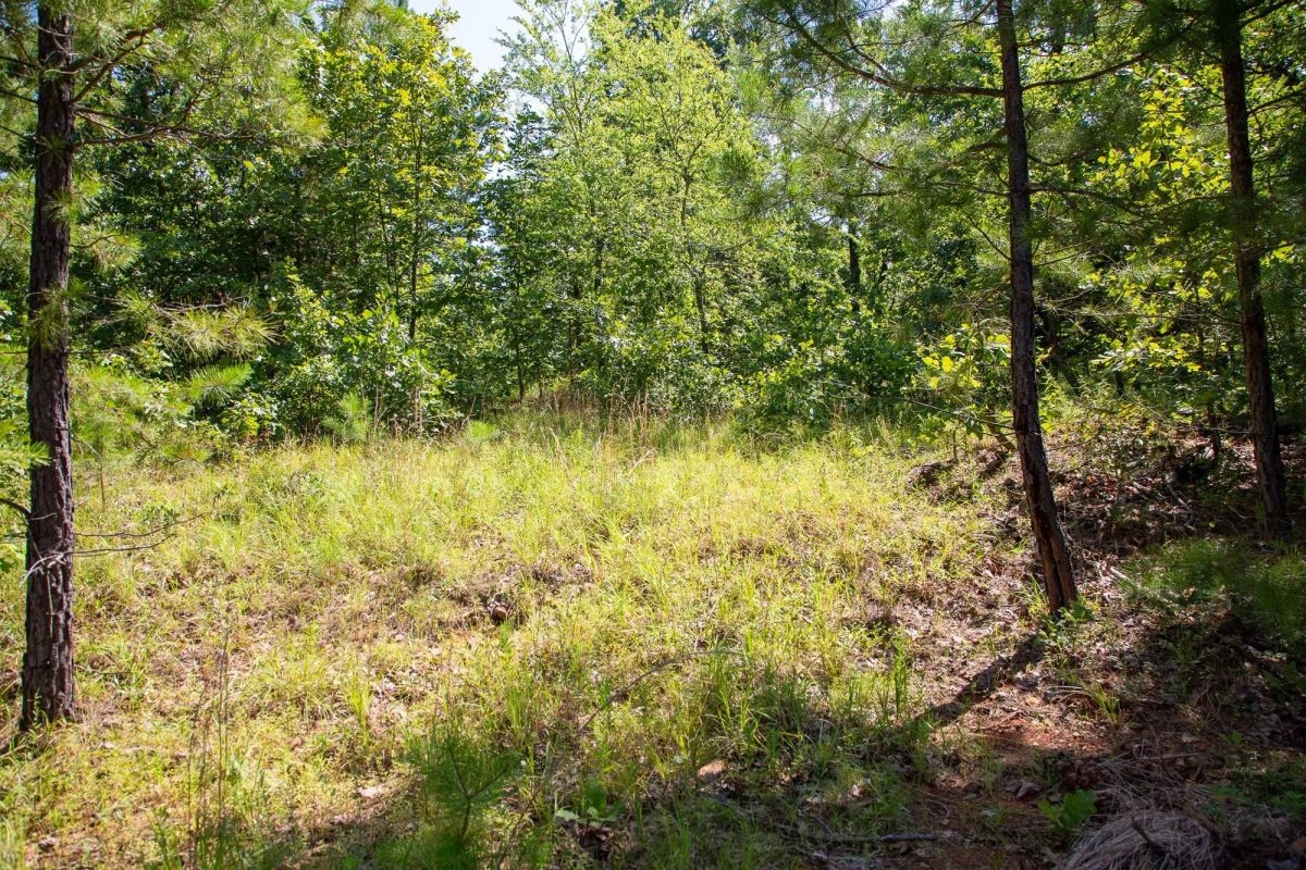 Tyler Stone Ranch Tract 43 - Image 4