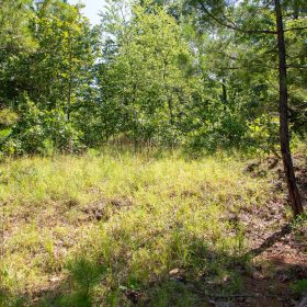Tyler Stone Ranch Tract 43 in Le Flore County, OK