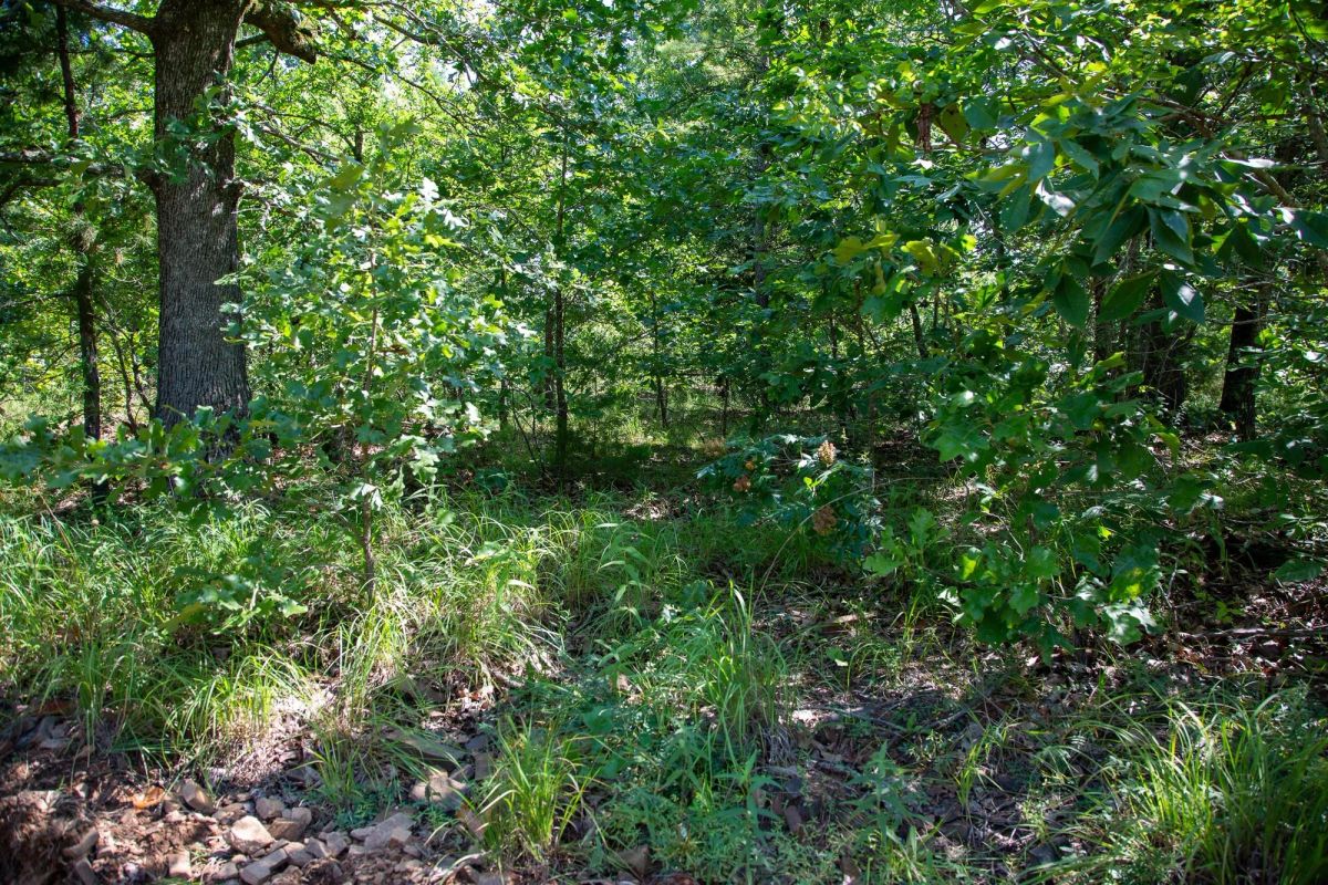 Decorative background for Tyler Stone Ranch Tract 43 image 5