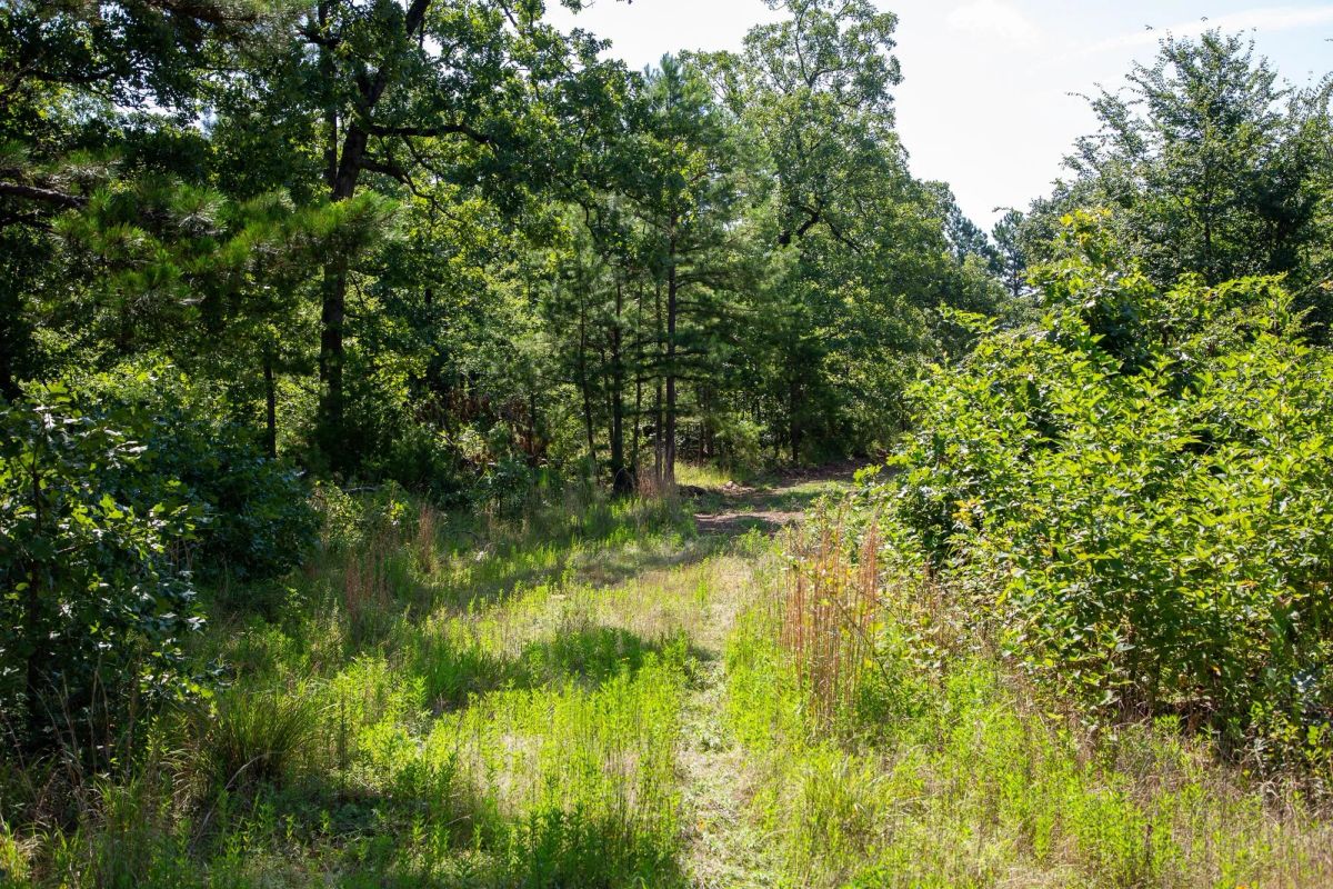 Decorative background for Tyler Stone Ranch Tract 43 image 6
