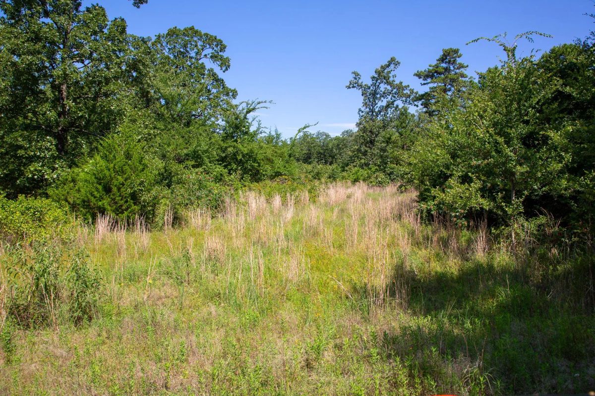 Decorative background for Tyler Stone Ranch Tract 43 image 7