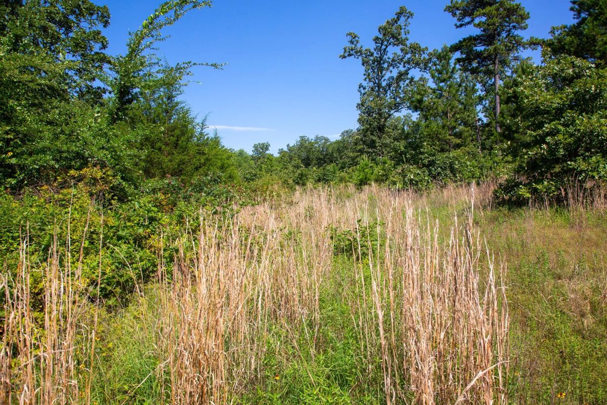 Decorative background for Tyler Stone Ranch Tract 43 image 8