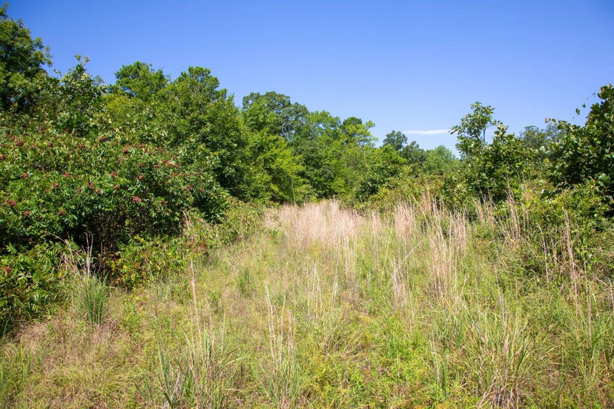 Decorative background for Tyler Stone Ranch Tract 43 image 9