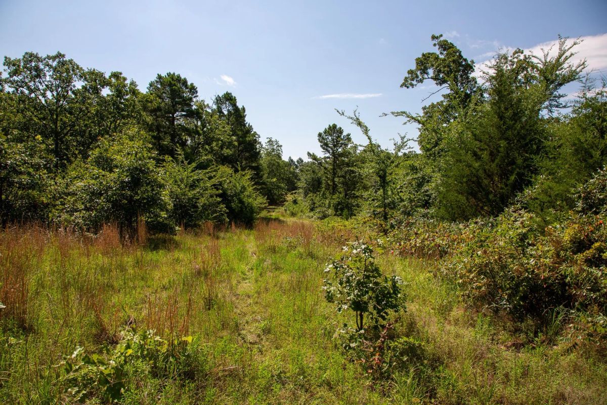 Decorative background for Tyler Stone Ranch Tract 43 image 10