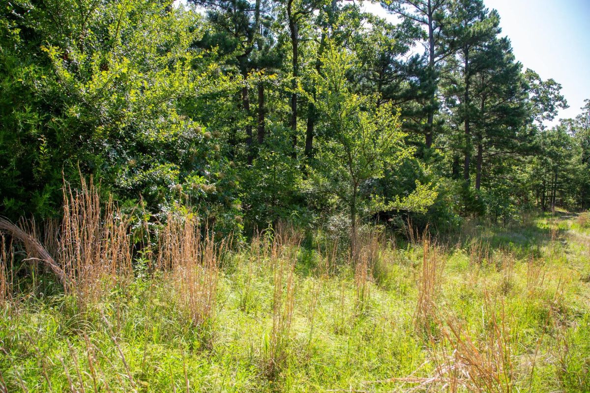 Decorative background for Tyler Stone Ranch Tract 43 image 11