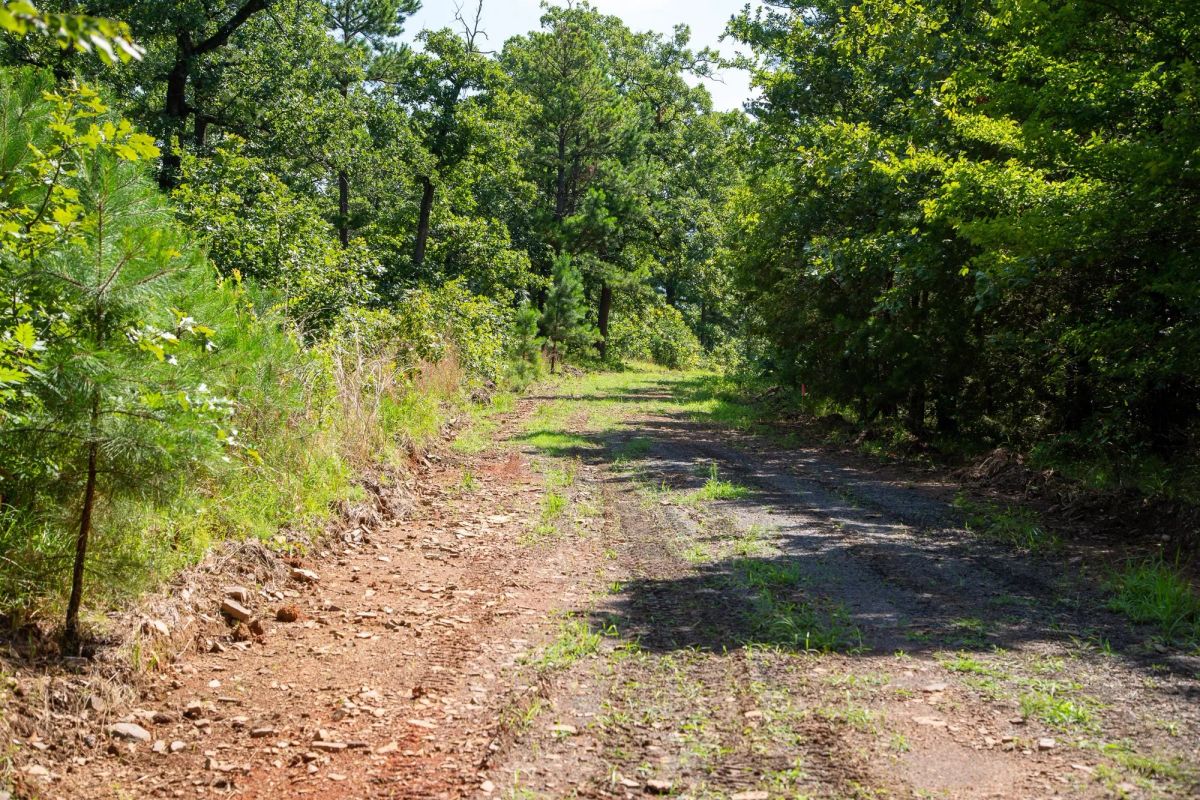 Decorative background for Tyler Stone Ranch Tract 43 image 12