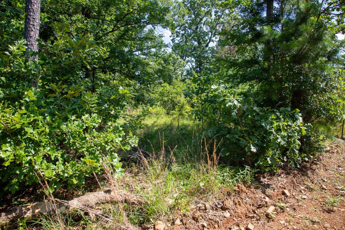 Decorative background for Tyler Stone Ranch Tract 43 image 13