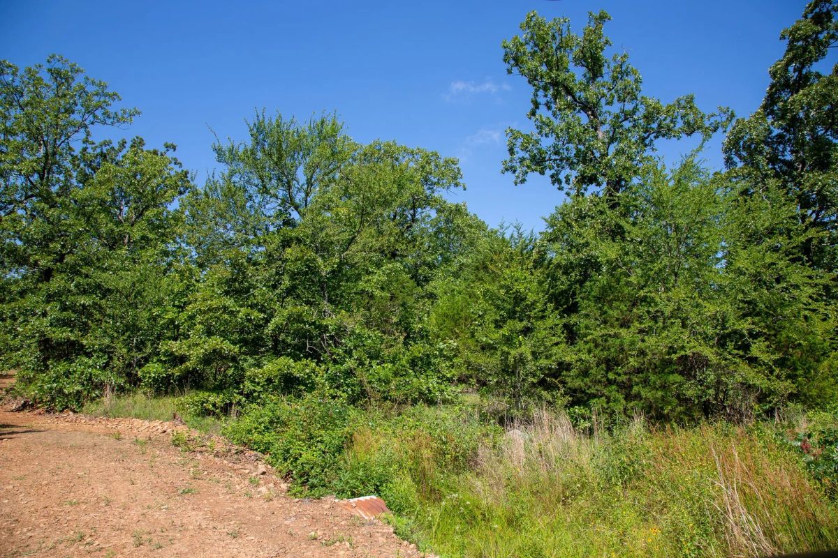 Decorative background for Tyler Stone Ranch Tract 43 image 17