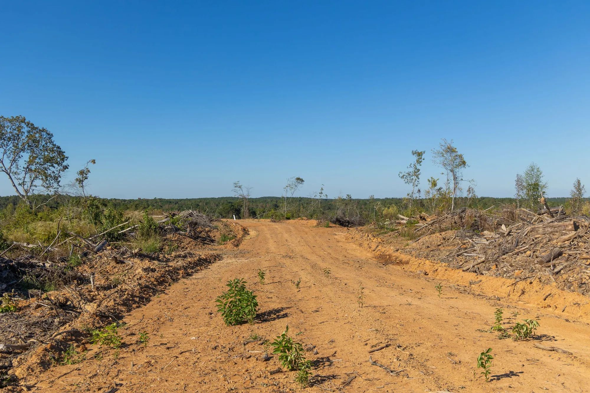 Meyer’s Ridge Tract 21 in Attala County, MS