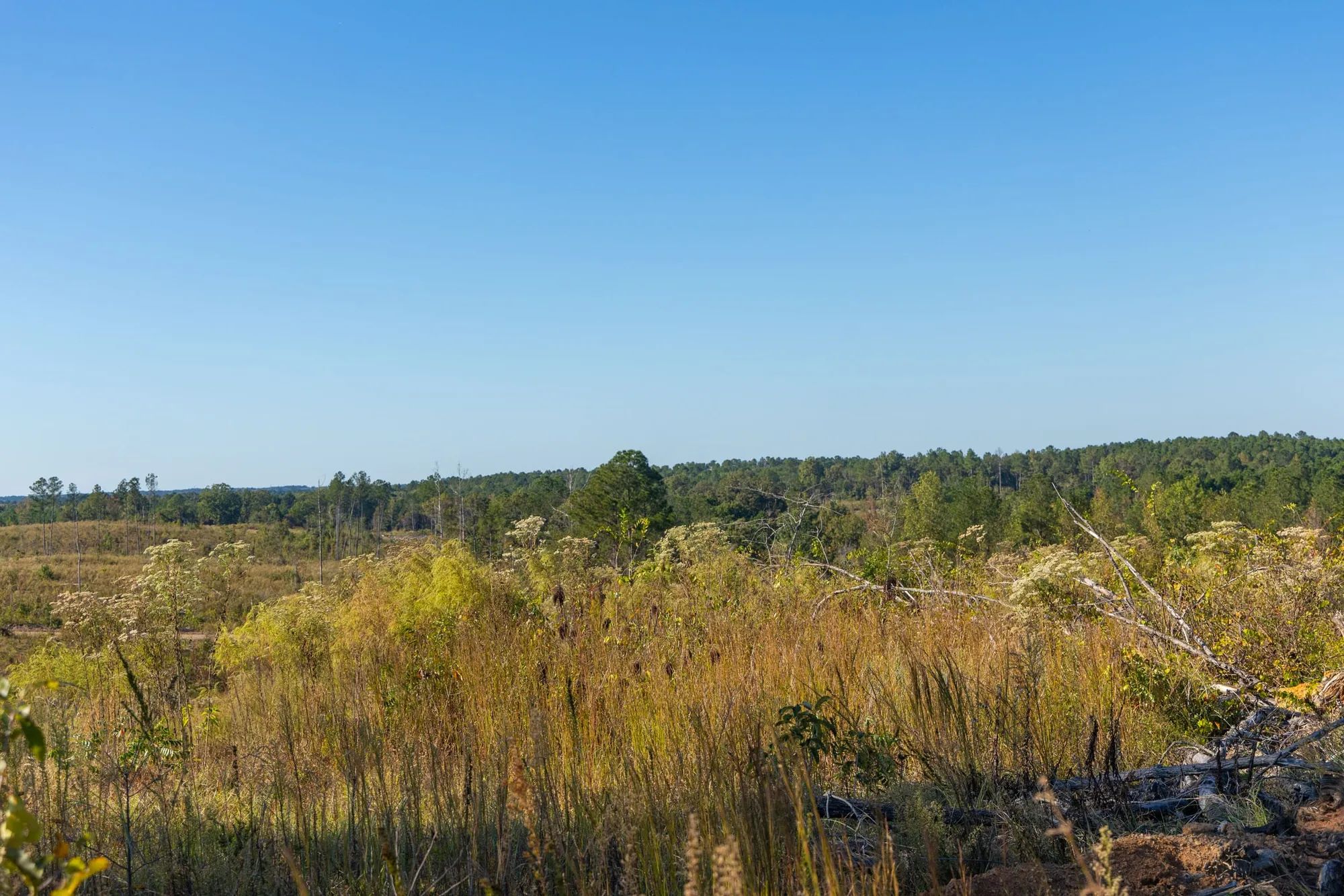 Meyer’s Ridge Tract 21 in Attala County, MS