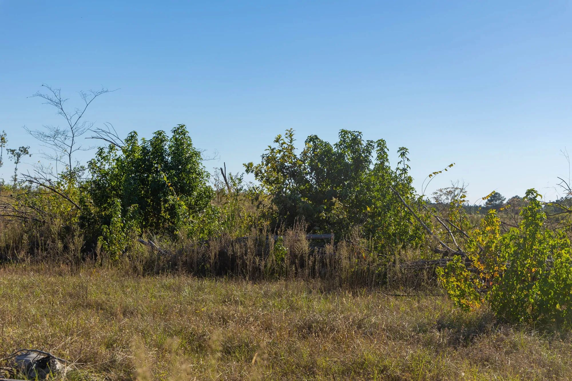 Meyer’s Ridge Tract 21 in Attala County, MS