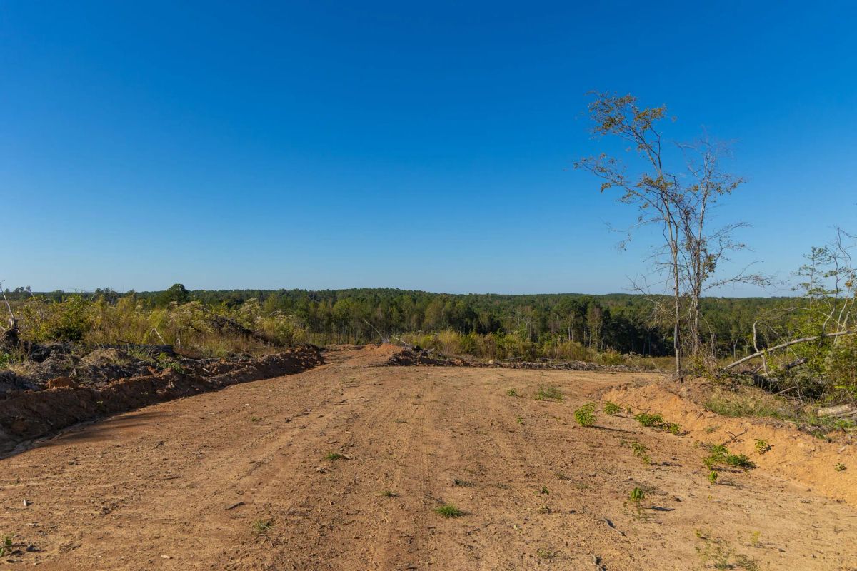 Decorative background for Meyer’s Ridge Tract 21 image 7