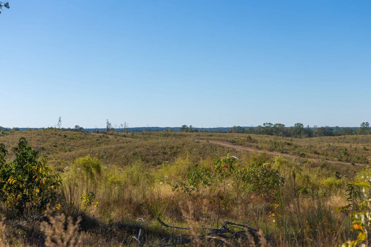Decorative background for Meyer’s Ridge Tract 21 image 8
