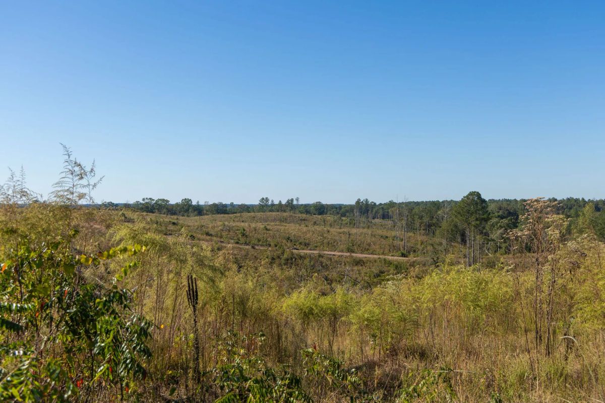 Decorative background for Meyer’s Ridge Tract 21 image 9