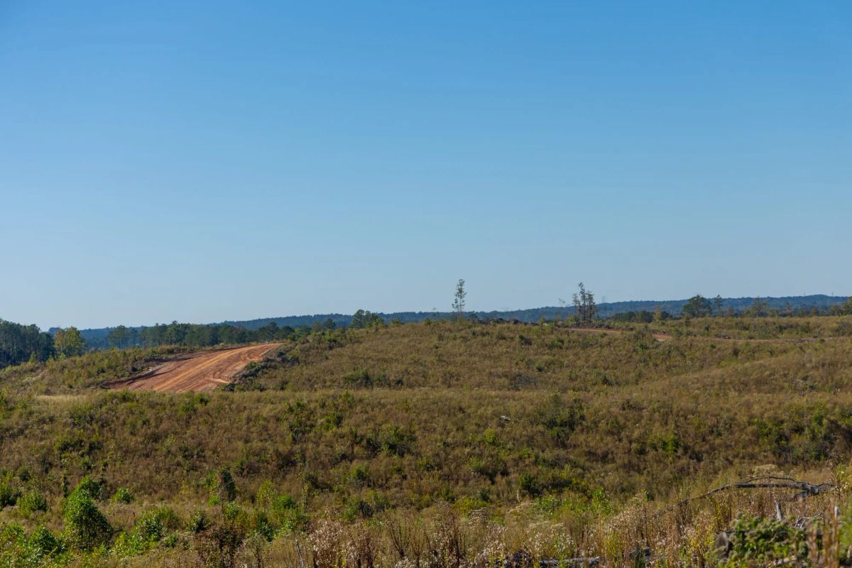 Decorative background for Meyer’s Ridge Tract 21 image 10