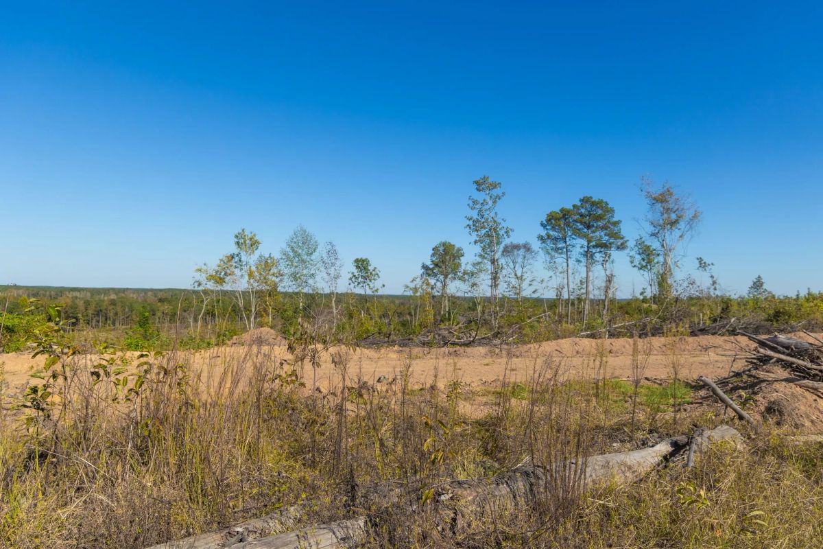 Decorative background for Meyer’s Ridge Tract 21 image 12