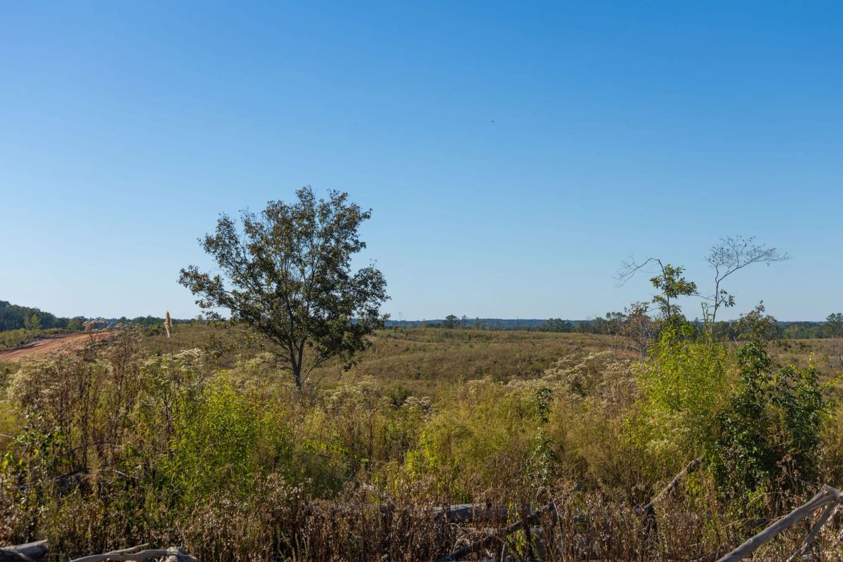 Decorative background for Meyer’s Ridge Tract 21 image 13