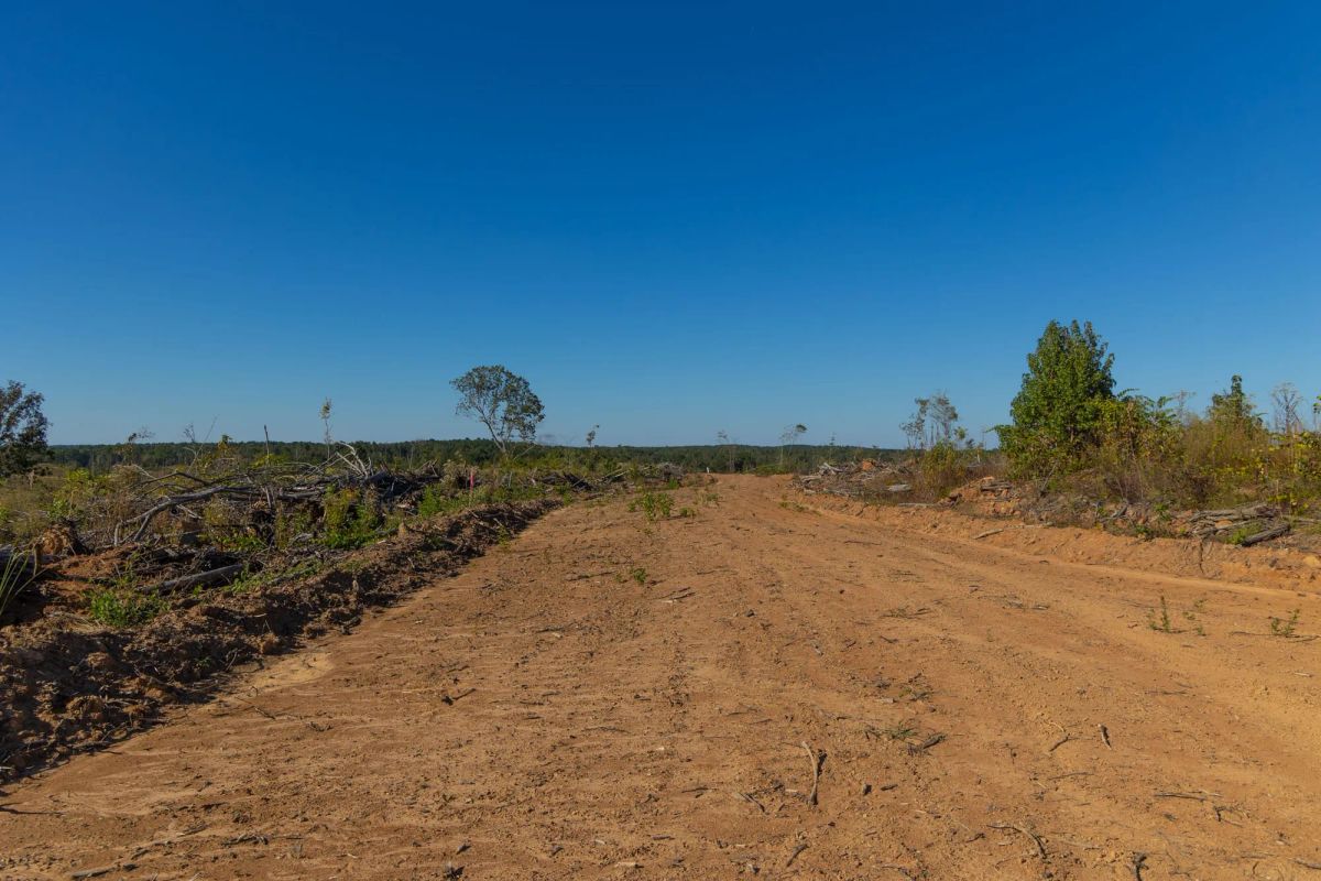 Decorative background for Meyer’s Ridge Tract 21 image 14