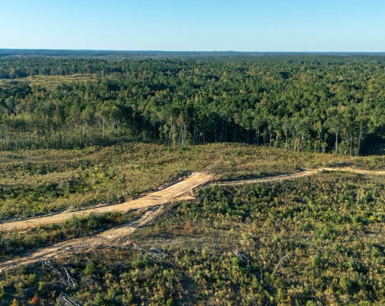 Meyer’s Ridge Tract 24 in Attala County, MS