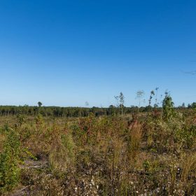 Meyer’s Ridge Tract 24 in Attala County, MS