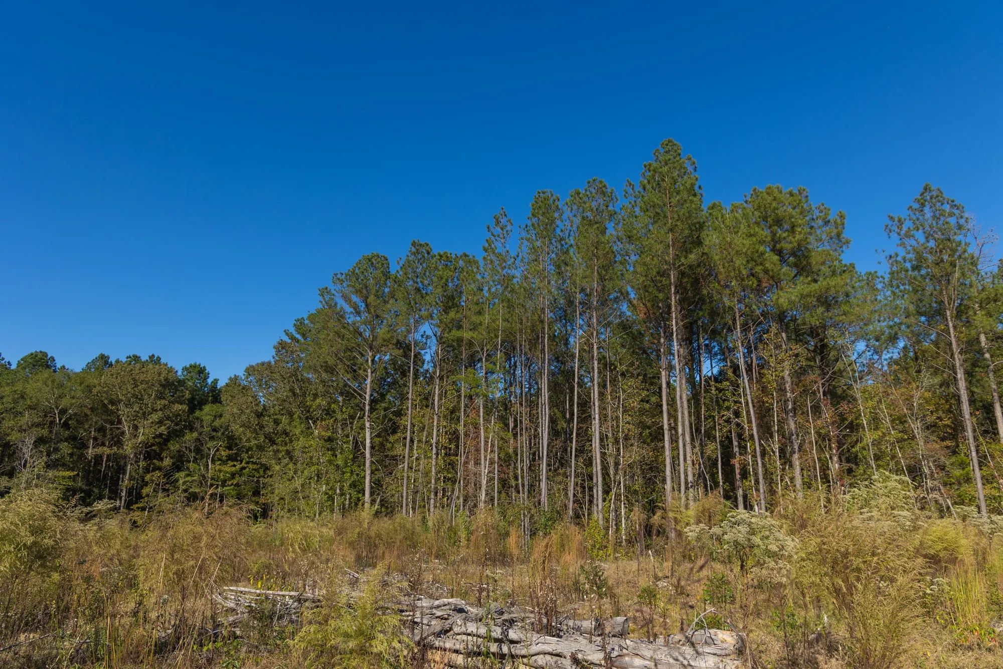 Meyer’s Ridge Tract 24 in Attala County, MS