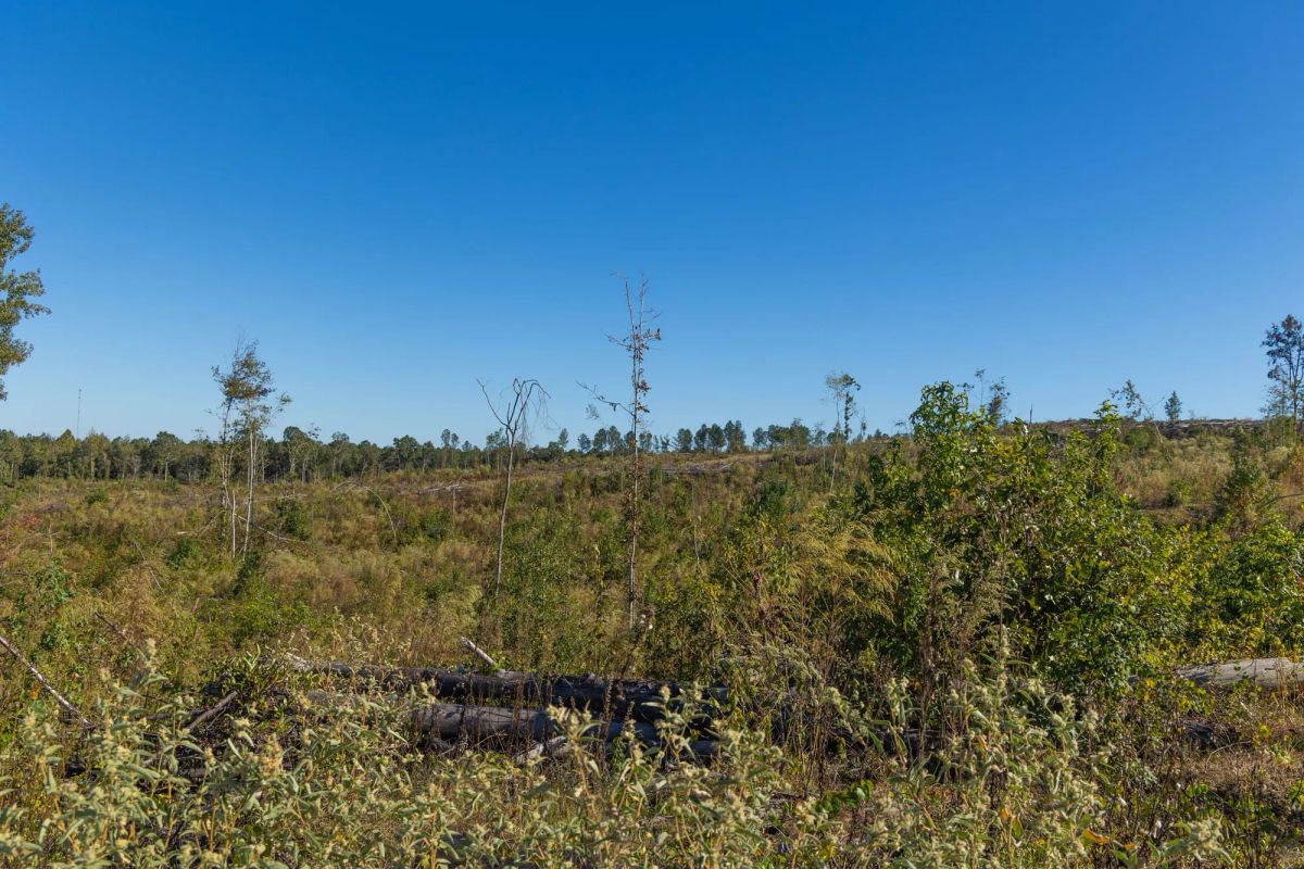 Decorative background for Meyer’s Ridge Tract 24 image 7