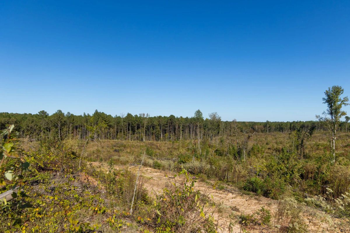 Decorative background for Meyer’s Ridge Tract 24 image 12