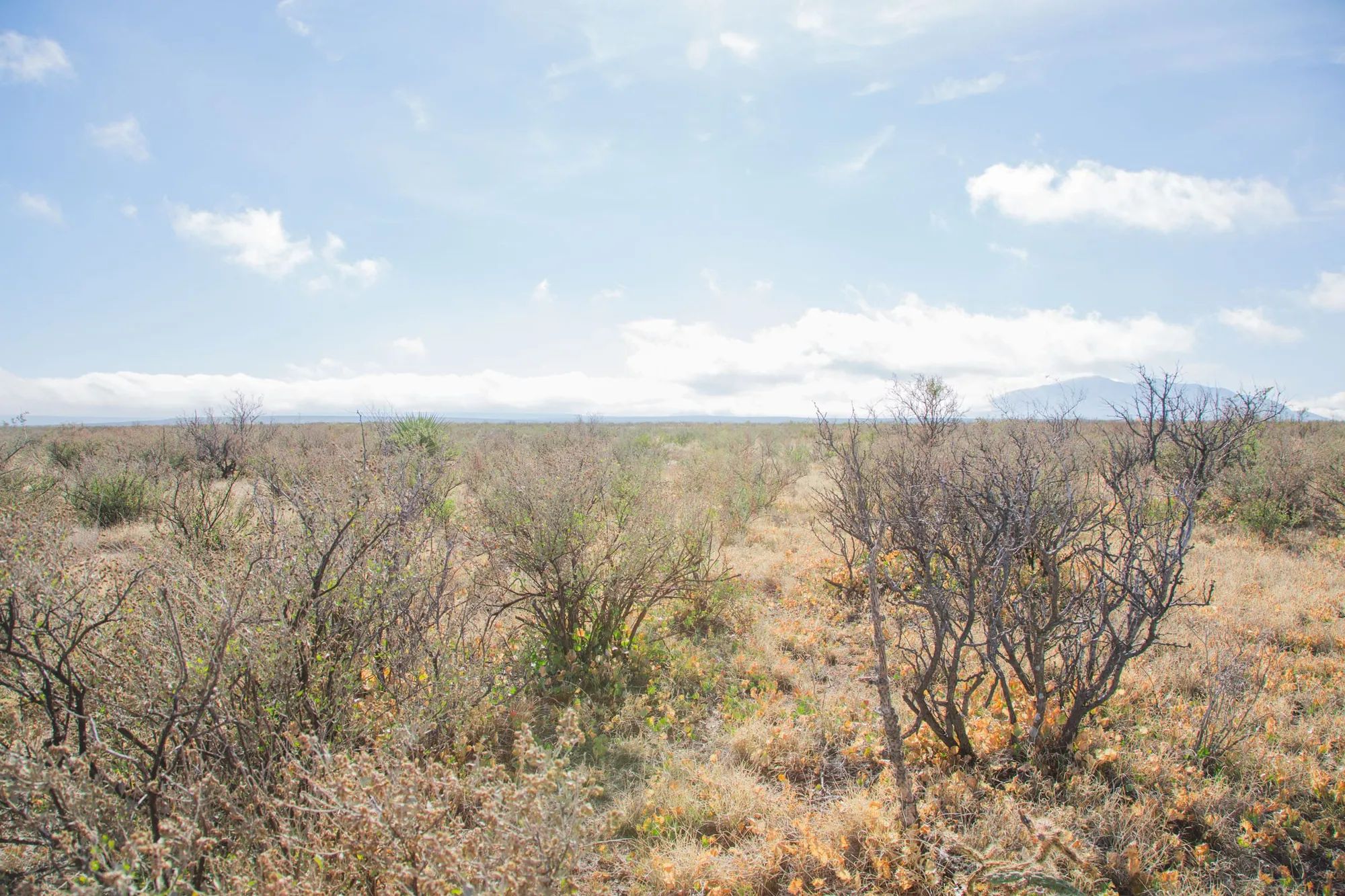 Sunset Ranches Tract 11 in Hudspeth County, TX