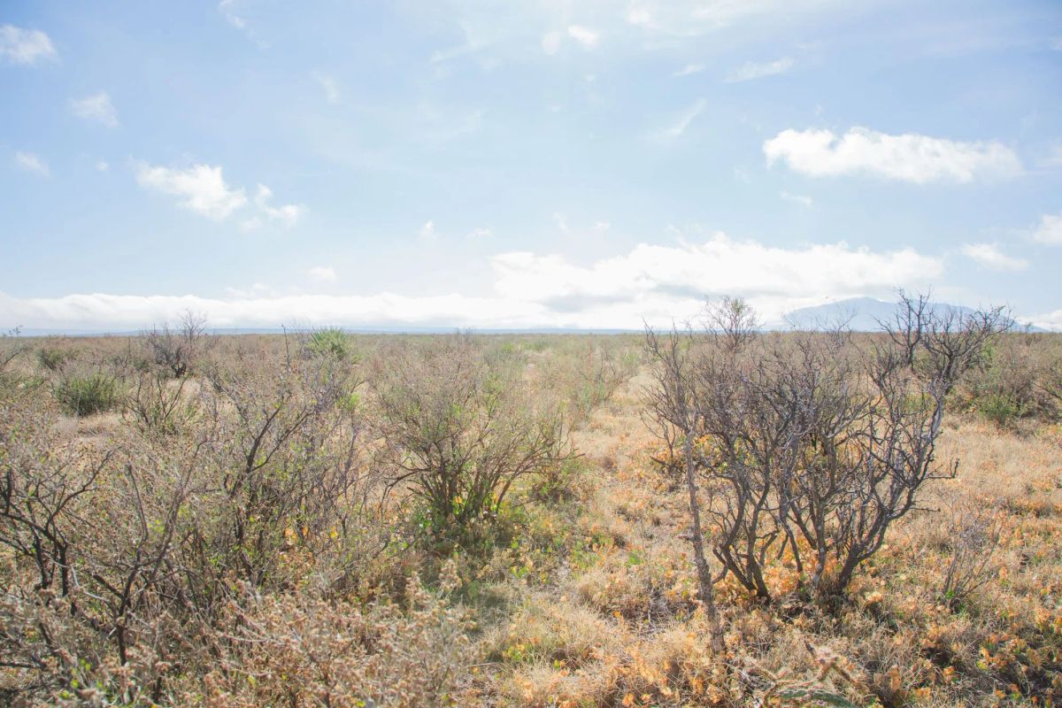 Sunset Ranches Tract 11 - Image 3
