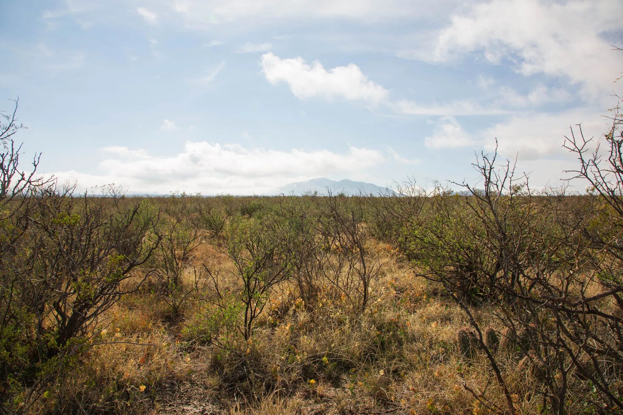 Sunset Ranches Tract 11 in Hudspeth County, TX